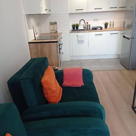 Apartament Dobranocka Διαμέρισμα Zator Εξωτερικό φωτογραφία